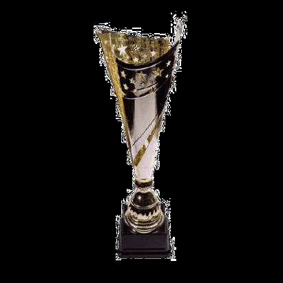 Coupe de foot - IMG-220