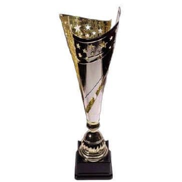 Coupe de foot - IMG-220