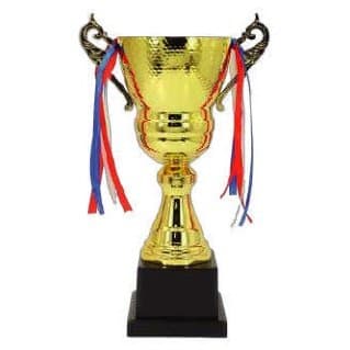 Coupe de foot - IMG-222-PETIT