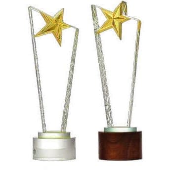 TrophÈe navire en cristale et bois - MR25050B
