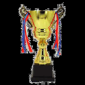 Coupe de foot